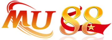logo w8́