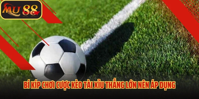 Kèo Tài Xỉu MU88 - Chia Sẻ Bí Kíp Chơi Kèo Thắng Lớn 4 Bí kíp chơi cược kèo tài xỉu thắng lớn nên áp dụng