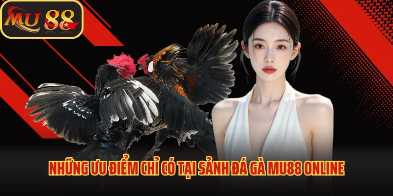 Đá Gà Mu88 - Khám Phá Sảnh Cược Kịch Tính, Đẳng Cấp 2025 3 Những ưu điểm chỉ có tại sảnh đá gà Mu88 online