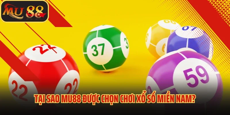 Xổ Số Miền Nam - Điểm Đến Cực Nóng Của Lô Thủ Tại Mu88 4 Tại sao Mu88 được chọn chơi xổ số miền Nam?
