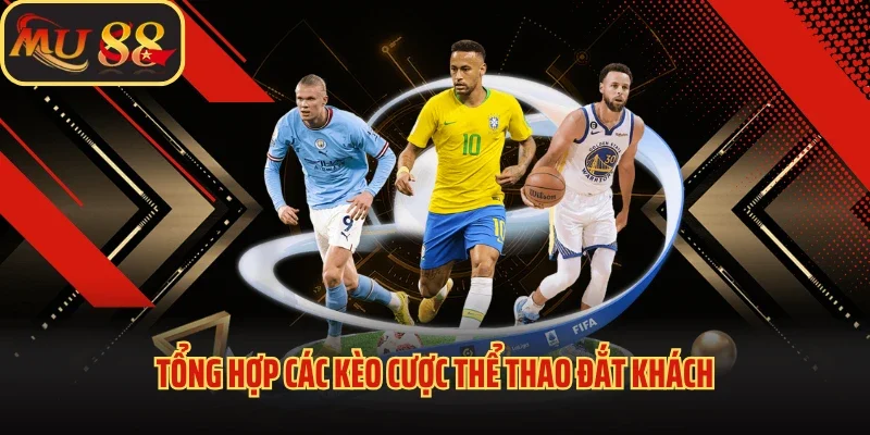 Thể Thao Mu88 - Sân Chơi Cá Độ Giúp Chạm Tay Chiến Thắng 4 Tổng hợp các kèo cược thể thao đắt khách